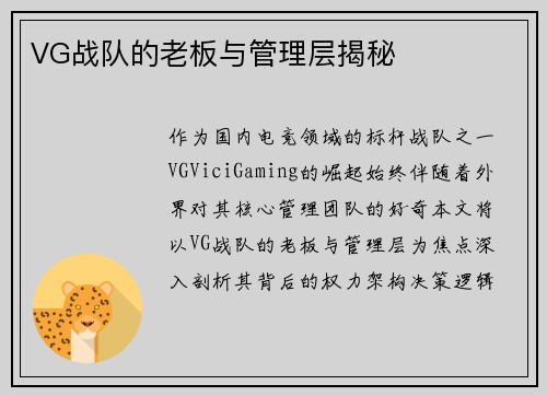 VG战队的老板与管理层揭秘